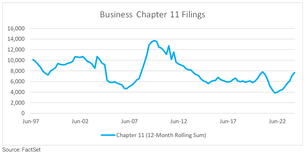 14-business-chapter-11-filings