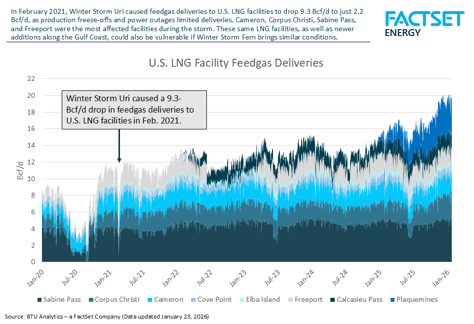 LNG-graphic-fern