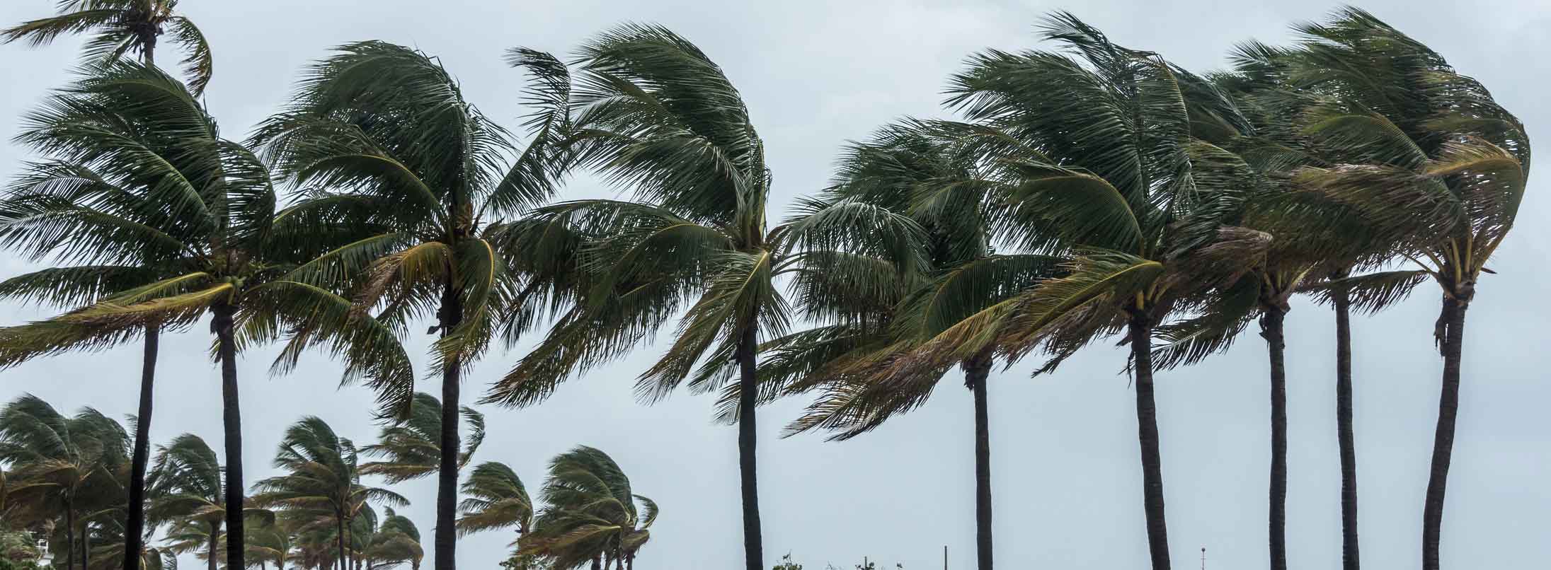 Seaport Shutdown: Hurricane Irma Causes Supply-Chain Havoc